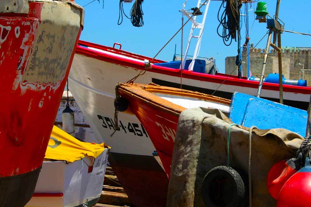 Chumberas. Alquilar o comprar vivienda en Tarifa. Asesoría inmobiliaria. Barcas de pescadores de atún.